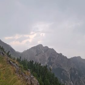(FOTO: Darko Ulaga)